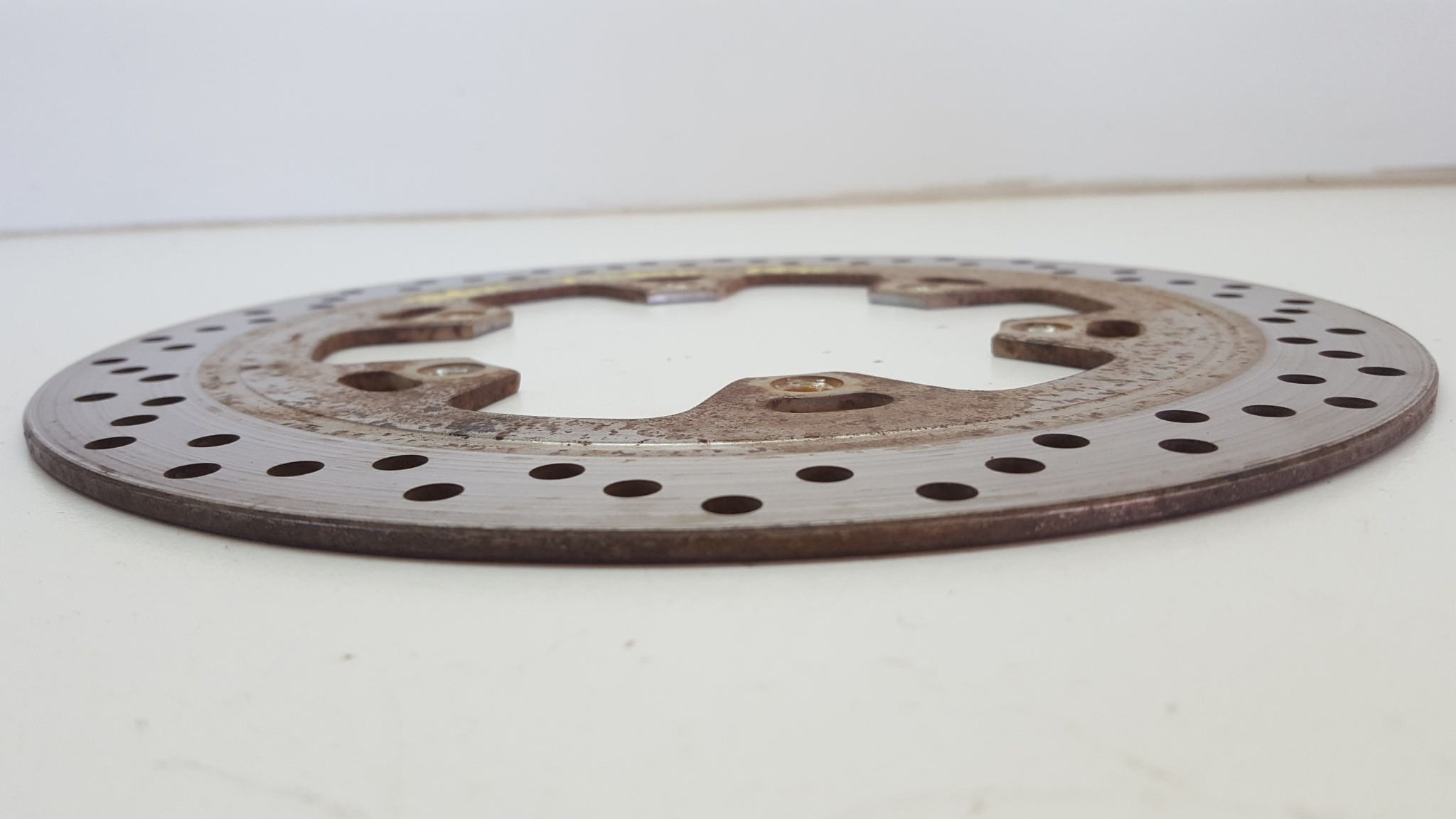 Front Brake Disc Rotor Yamaha TT600R TTR600 Belgarda 1998 95-01 #671