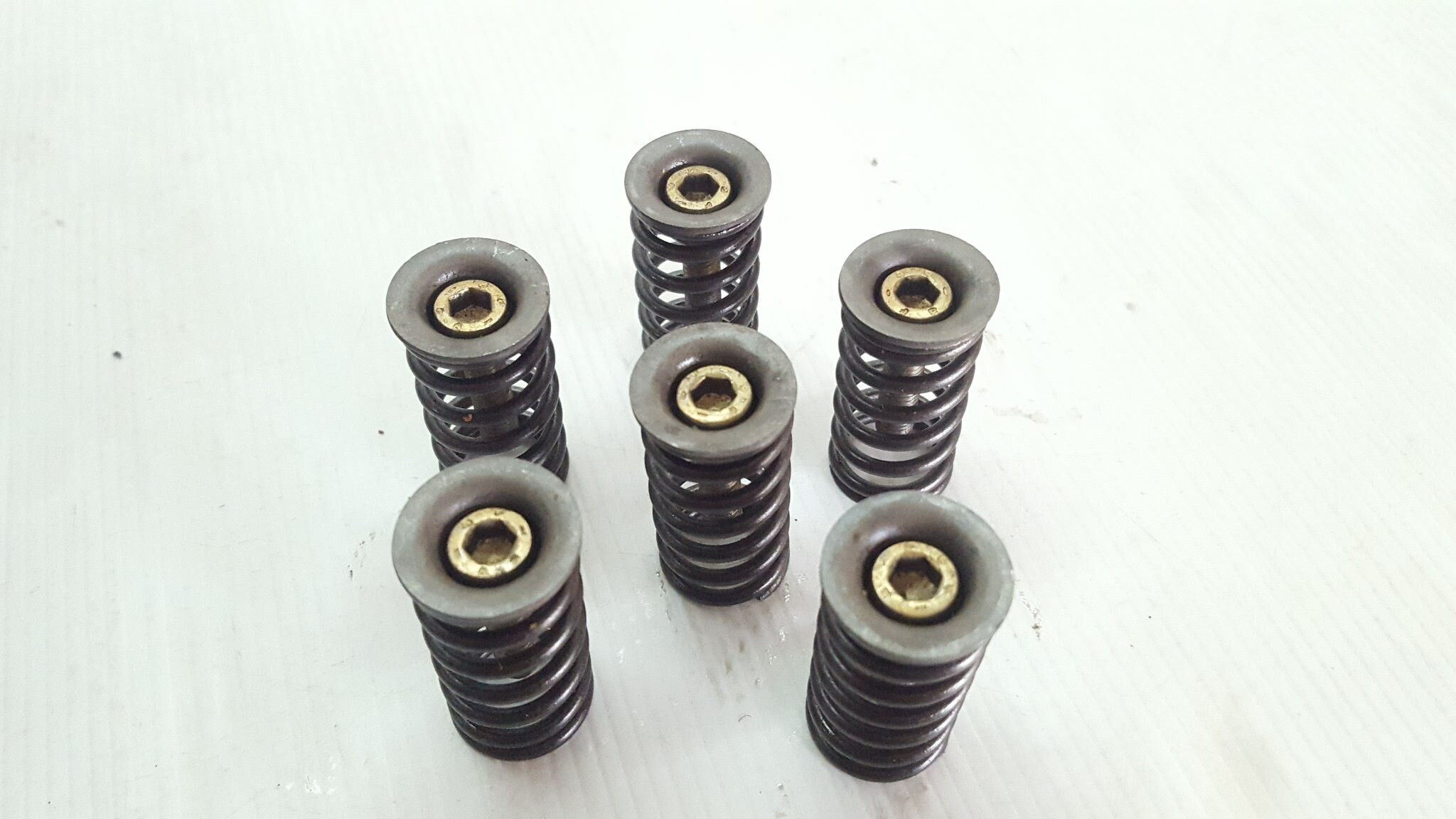 Possible Clutch Springs & Bolts Husqvarna TE 510 250 310 450 TC SMR 03-10 #FBS