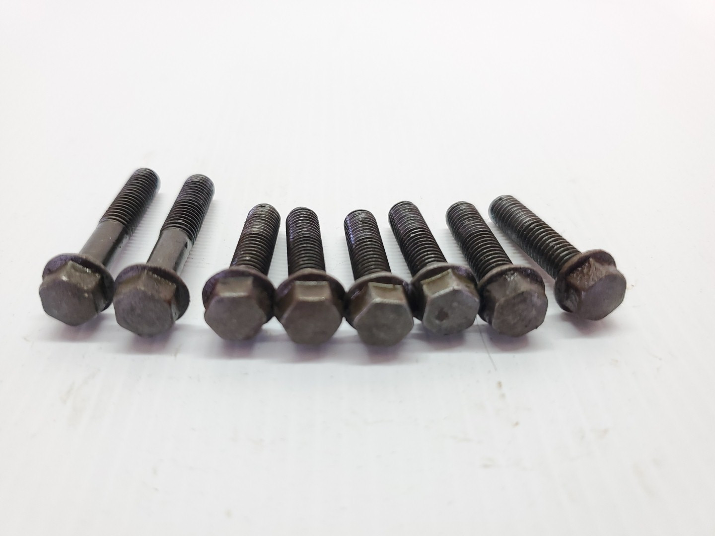 Yamaha WR250F 2002 Stator Cover Bolts WR 250 450 F 00-05 + Other Models #878