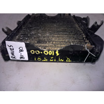 Radiator for Suzuki RM125 RM 125 1981 81 & Husqvarna WR125 1984 17700-14110