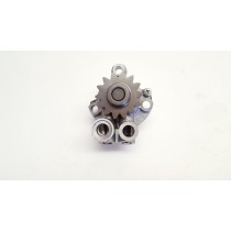 Yamaha YZ250F 2009 Oil Pump Assembly 01-14 WR YZ 250 F WR250F 5SG-13300-01