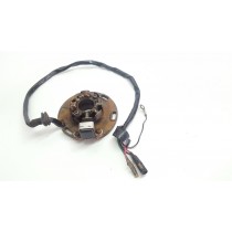 Stator Generator TM Racing 125 EN 2002