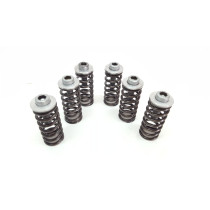 Clutch Springs KTM 450 SX 2003 EXC 250 400 525 540 99-12