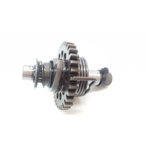 Kick Starter Shaft Assembly Mechanism Yamaha WR450F 2016 06-18 450 YZ #665 