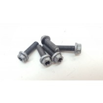 Clutch Boss Spring Bolts KTM 150XC-W 2018 + Many Other Models #715