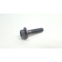 Rotor Flywheel Bolt Kawasaki KLX250 2007 W800 650 Sherpa Stockman #722