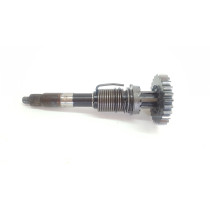 Kick Starter Assembly Husqvarna WR250 2009 #P34