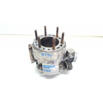 Cylinder Barrel Suzuki TS250X 1984 1985 #724