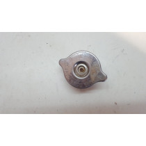 Radiator Cap KTM 250 EXC-F 2013 + Other Models 250EXC #748