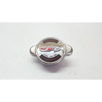 Radiator Cap Yamaha WR450F 2016 WR 250 450 F #762
