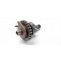 Parts or Repair Kick Starter Shaft Assembly  Kickstarter TM Racing TM125 125 2002 TMRacing #794