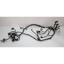 Wiring Harness Main Loom Kawasaki KLR650 2012 11-18 #798