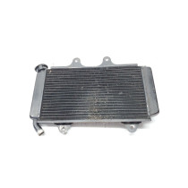 Radiator KTM RC390 2015 RC 390 #807