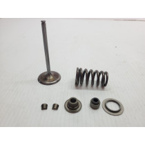 Incomplete, Half Intake Valve Set KTM 450EXC 2012 400 450 500 501 530 570 EXC FE SIX DAYS HUSABERG HUSAVARNA 08-13 #CKM