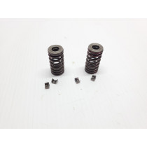 Exhaust Valve Outer Springs & Retainers WR450F 2021 WR 450 F Yamaha 19-23 #849