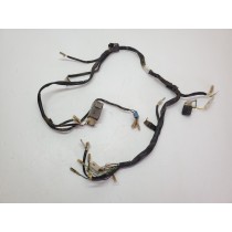 Wiring Loom Harness Gasgas Gas Gas EC300 2004 EC 300 #850