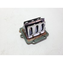 Reed Valve Block Assembly KX125 2000 KX 125 97-02 Kawasaki #LW