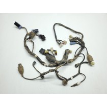 Husqvarna FE250 2017 Main Wiring Harness Loom FE 250 350 450 17-19 #BY