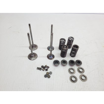 KTM 250EXC-F 2015 Valve Kit Intake & Exhaust Six Days 250 EXC-F 14-16 #857