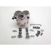 Husqvarna TE310 2009 Cylinder Head Complete TE 310 250 #LW