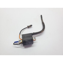 Kawasaki KX250 2021 Ignition Coil KX 250 450 21-24 #867