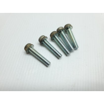 Yamaha YZ250 2010 Stator Cover Bolts & Washers YZ 125 250 07-13 + 18-21 #873