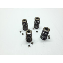 KTM 500EXC 2013 Intake & Exhaust Valve Springs 450 500 EXC 12-13 #875