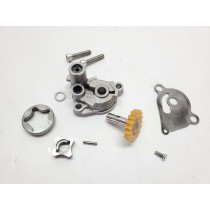 Yamaha WR250R 2013 Oil Pump Assembly WR 250 R 08-20 #874