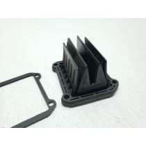 Beta 300 RR 2021 V-Force Reed Valve 300RR + Other Years #P77