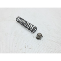 Beta 300 RR 2021 Powervalve Outer Spring 300RR + Other Years #P77