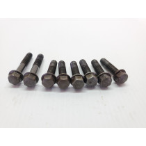 Yamaha WR250F 2002 Stator Cover Bolts WR 250 450 F 00-05 + Other Models #878
