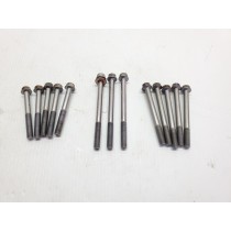 Sherco 300 SEF 2022 Crankcase Bolts 300SEF 250 300 SEF 16-25 + Other Models #831 