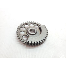  Husqvarna TE250i 2019 Balance Shaft Gear TE 250 300 17-25  #883 KTM