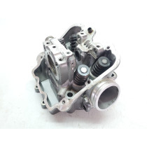 KTM 690 Enduro R 2017 Twin Plug Cylinder Head #881 Duke 701 2016