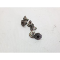 CRF250R 2011 Fork Guard Bolts CRF 250 450 R 02-26 + Other Models #885