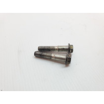 Honda CRF250R 2011 Front Caliper Bolts CRF 250 450 R 02-26 #885