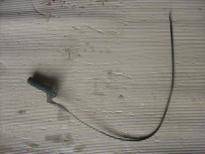 Honda CR125 CR 125 Throttle Assembly Housing Cable