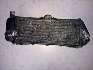 Left Radiator to suit Suzuki RM250 RM 250 1990 90 17720-26C00