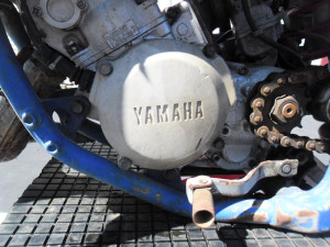 Stator Magneto Generator Cover for Yamaha YZ125 YZ 125 1991