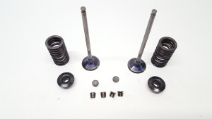 Husqvarna FC250 2014 Exhaust Valve + Spring Kit 14-17 FC FE 250 77736031000