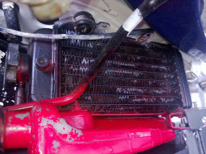 Right Radiator to suit Yamaha WR200 WR 200 2 Stroke 1992 92