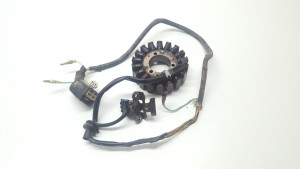 Stator Kawasaki KL250 Stockman Tested KL 250 2000-2003 Sherpa, Generator 1999-2012