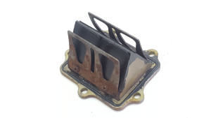 Reed Valve Yamaha YZ250 2005 02-20 #714