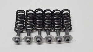 Clutch Springs Husaberg FE450 2008 FE FC FS 450 550 650 04-08 #740