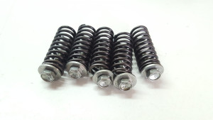 Clutch Springs Kawasaki KX250F 2013 KX250 F #770