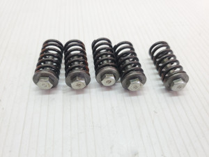 Clutch Springs Washers & Bolts Sherco 300 SEF 300SEF SE-F 2022 & Other models #831 