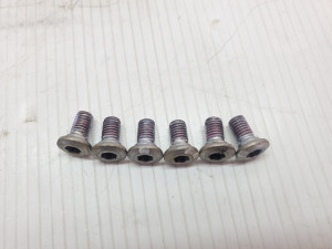Rear Brake Disc Bolts 8x15 Kawasaki KLX250S 2016 KLX 250 S 09-21 #816