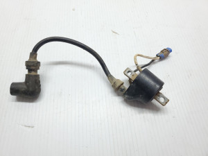 Suzuki RM 125 2004 Ignition Coil 03-08 125 250 #LW 04