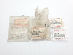 New Kawasaki Assortment: Pins NOS  