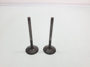 Exhaust Valves WR450F 2021 WR 450 F Yamaha 21-23 #849